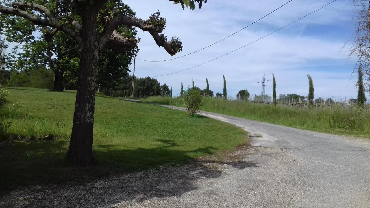 Gite Lieu Dit Gautier Civrac-de-Blaye Екстер'єр фото